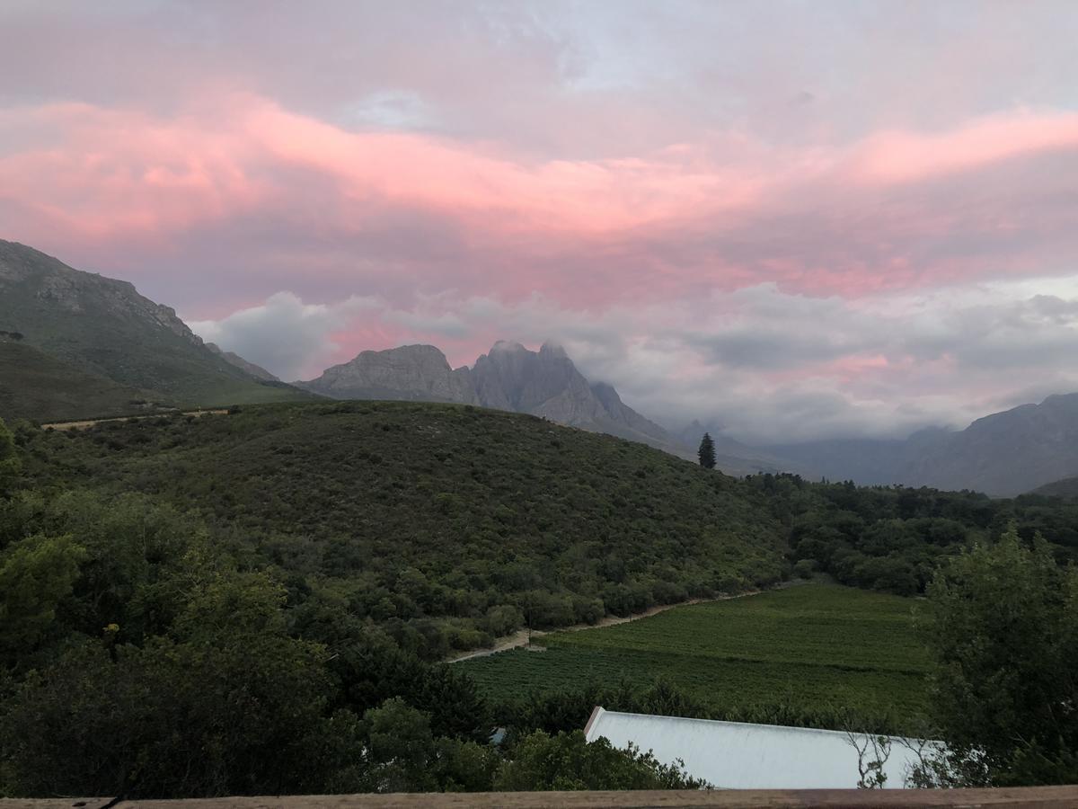Three Pines Cottage On Stark Conde Stellenbosch Bagian luar foto